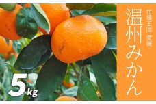 【先行予約】温州みかん 5kg みかん 愛媛 みかん 温州 ミカン松山 オレンジ くだもの みかん 柑橘 果物 フルーツ 愛媛産 愛媛県産 国産 愛媛みかん 愛媛蜜柑 愛媛ミカン みかん ミカン mikan 蜜柑 柑橘 フルーツ 果物 くだもの 高級 お取り寄せ 産地直送 数量限定 人気 おすすめ 愛媛県 松山市 送料無料 