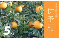 【先行予約】伊予柑 5kg いよかん 愛媛産 愛媛県産 国産 愛媛みかん 愛媛蜜柑 愛媛ミカン みかん ミカン mikan 蜜柑 柑橘 フルーツ 果物 くだもの 高級 お取り寄せ 産地直送 数量限定 人気 おすすめ 愛媛県 松山市 送料無料 