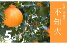 【先行予約】不知火 5kg （ 愛媛産 愛媛県産 国産 愛媛みかん 愛媛蜜柑 愛媛ミカン みかん ミカン mikan 蜜柑 柑橘 フルーツ 果物 くだもの 高級 お取り寄せ 産地直送 数量限定 人気 おすすめ 愛媛県 松山市 送料無料 ）