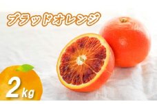 【2026年1月下旬より発送】ブラッドオレンジ 2kg