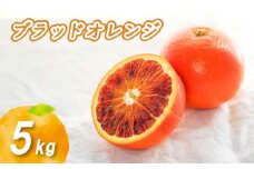 【2026年1月下旬より発送】ブラッドオレンジ 5kg