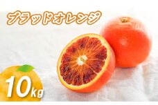 【2026年1月下旬より発送】ブラッドオレンジ 10kg