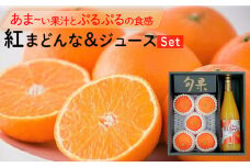 【11月下旬から発送】  紅まどんな・紅まどんなジュースセット（ 紅まどんな みかん ミカン 蜜柑 柑橘 フルーツ まどんな みかん 愛媛 みかん 紅まどんな 蜜柑 紅まどんな 愛媛 松山）