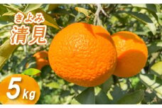 【2026年2月下旬より発送】低農薬栽培 清見 5kg