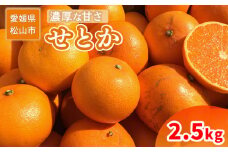 ＜ご家庭用＞ 2月中旬から順次発送 せとか 2.5 kg | 訳あり 蜜柑 高級 果物 甘い フルーツ みかん ミカン オレンジ 柑橘 食べて応援 特産品 愛媛 松山