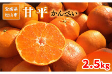 ＜ご家庭用＞1月下旬から発送 甘平 2.5kg （ 愛媛 みかん 先行予約 蜜柑 柑橘 果物 くだもの フルーツ お取り寄せ グルメ 期間限定 数量限定 人気 おすすめ 愛媛県 松山市 ）