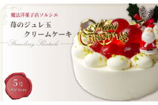 【着日指定可】クリスマスケーキ 苺 の ジュレ玉 クリームケーキ 5号 直径16cm 4人～6人分 600g 【クリスマス飾り付】 スイーツ ギフト いちご | デザート ケーキ お菓子 洋菓子 冷凍 着日指定 お誕生日 誕生日 ギフト お祝い 愛媛県 松山市
