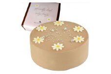 【着日指定可】ケーキ センイルケーキ 4号 直径13.5cm 2人～4人分 285g 【単品（ローソクのみ） チョコレートクリーム】 スイーツ ギフト 誕生日ケーキ | デザート ケーキ お菓子 洋菓子 冷凍 着日指定 お誕生日 誕生日 ギフト お祝い 愛媛県 松山市