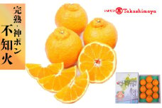 【3月下旬から順次発送】愛媛県・不知火（完熟・神ポン）3kg 7から12玉｜ 愛媛産 愛媛県産 国産 愛媛みかん 愛媛蜜柑 愛媛ミカン みかん ミカン mikan 蜜柑 柑橘 フルーツ 果物 くだもの お取り寄せ 産地直送 数量限定 人気 おすすめ 愛媛県 松山市 送料無料