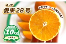 【12月上旬～1月初旬頃発送予定】 ご家庭用 愛果28号 10kg | あいか ご家庭用 みかん 数量限定 みかん 愛媛県産 みかん 愛果28号 松山市 みかん 愛果28号 みかん 蜜柑 愛果28号 ミカン みかん 旬 愛果28号
