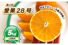 【12月上旬～1月初旬頃発送予定】 ご家庭用 愛果28号 5kg | あいか ご家庭用 みかん 数量限定 みかん 愛媛県産 みかん 愛果28号 松山市 みかん 愛果28号 みかん 蜜柑 愛果28号 ミカン みかん 旬 愛果28号
