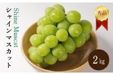 【先行予約】【2025年8月下旬～9月中旬順次発送】 シャインマスカット 2kg 秀品 シャインマスカット マスカット ますかっと ぶどう ブドウ 葡萄 種無し 果物 くだもの フルーツ 旬 期間限定 愛媛県 松山市