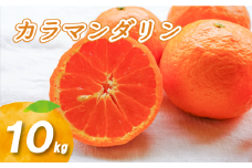 【2026年4月中旬より発送】カラマンダリン 10kg