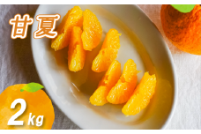 【2026年2月下旬より発送】農薬不使用 甘夏 2kg