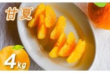 【2026年2月下旬より発送】農薬不使用 甘夏 4kg