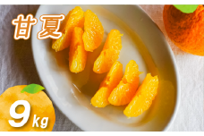 【2026年2月下旬より発送】農薬不使用 甘夏 9kg