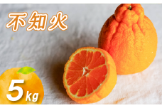 【2026年3月中旬より発送】 不知火 5kg