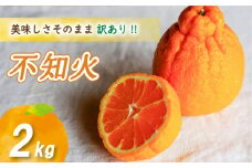 【2026年4月上旬より発送】 訳あり不知火 2kg