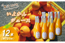 いよかんストレート果汁100％ジュース 720ml×12本 | 数量選択可 果汁100% 無添加 伊予柑 ストレートジュース 数量選択可 | みかんジュース 果汁100% みかんジュース いよかん ストレート 100% ジュース 柑橘 果汁飲料 みかんジュース NPO法人農音 愛媛県 松山市 中島
