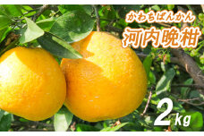 【2026年4月中旬より発送】 低農薬栽培 河内晩柑 2kg