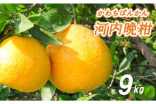【2026年4月中旬より発送】 低農薬栽培 河内晩柑 9kg