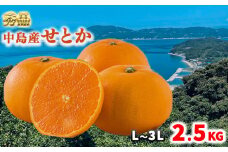 【3月上旬から発送】 【秀品】 松山市 中島産 松山市中島産 せとか L～3Lサイズ　2.5kg （ 愛媛みかん 愛媛ミカン みかん ミカン mikan 蜜柑 柑橘 フルーツ 果物 くだもの お取り寄せ 産地直送 数量限定 人気 おすすめ 愛媛 松山 フジ・アグリフーズ）