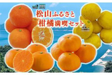 【1月下旬から発送】 【松山市ふるさとセット】 伊予柑 甘平 せとか レモン 柑橘満喫セット（ 愛媛みかん 愛媛ミカン みかん ミカン mikan 蜜柑 フルーツ 果物 くだもの お取り寄せ 産地直送 数量限定 人気 おすすめ 愛媛 松山 フジ・アグリフーズ）