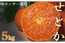 せとか 5kg 優品以上 柑橘 みかん mikan ミカン セトカ 果物 くだもの フルーツ おすすめ 高級 人気 お取り寄せ グルメ ギフト 期間限定 数量限定 ご当地 愛媛県 松山市
