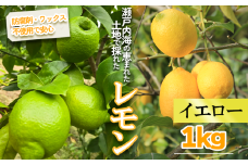 【2026年1月より順次発送】イエローレモン 約1kg ｜果物 くだもの フルーツ レモン れもん 檸檬 新鮮 かんきつ 柑橘 防腐剤不使用 ワックス不使用 グリーンレモン ぐりーんれもん イエローレモン いえろーれもん  国産 愛媛県 松山市 瀬戸内 レモン果汁 ビタミン レモンサワー ジュース チューハイ レモンシロップ レモンスカッシュ