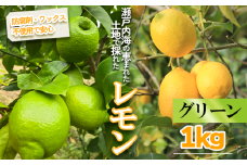 【2025年10月より順次発送】グリーンレモン 約1kg ｜果物 くだもの フルーツ レモン れもん 檸檬 新鮮 かんきつ 柑橘 防腐剤不使用 ワックス不使用 グリーンレモン ぐりーんれもん イエローレモン いえろーれもん  国産 愛媛県 松山市 瀬戸内 レモン果汁 ビタミン レモンサワー ジュース チューハイ レモンシロップ レモンスカッシュ