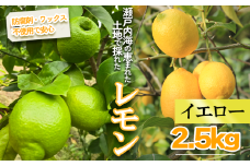 【2026年1月より順次発送】イエローレモン 約2.5kg ｜果物 くだもの フルーツ レモン れもん 檸檬 新鮮 かんきつ 柑橘 防腐剤不使用 ワックス不使用 グリーンレモン ぐりーんれもん イエローレモン いえろーれもん  国産 愛媛県 松山市 瀬戸内 レモン果汁 ビタミン レモンサワー ジュース チューハイ レモンシロップ レモンスカッシュ
