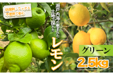 【2025年10月より順次発送】グリーンレモン 約2.5kg ｜果物 くだもの フルーツ レモン れもん 檸檬 新鮮 かんきつ 柑橘 防腐剤不使用 ワックス不使用 グリーンレモン ぐりーんれもん イエローレモン いえろーれもん  国産 愛媛県 松山市 瀬戸内 レモン果汁 ビタミン レモンサワー ジュース チューハイ レモンシロップ レモンスカッシュ