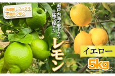 【2026年1月より順次発送】イエローレモン 約5kg ｜果物 くだもの フルーツ レモン れもん 檸檬 新鮮 かんきつ 柑橘 防腐剤不使用 ワックス不使用 グリーンレモン ぐりーんれもん イエローレモン いえろーれもん  国産 愛媛県 松山市 瀬戸内 レモン果汁 ビタミン レモンサワー ジュース チューハイ レモンシロップ レモンスカッシュ