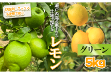 【2025年10月より順次発送】グリーンレモン 約5kg ｜果物 くだもの フルーツ レモン れもん 檸檬 新鮮 かんきつ 柑橘 防腐剤不使用 ワックス不使用 グリーンレモン ぐりーんれもん イエローレモン いえろーれもん  国産 愛媛県 松山市 瀬戸内 レモン果汁 ビタミン レモンサワー ジュース チューハイ レモンシロップ レモンスカッシュ