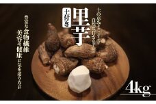 里芋(愛媛農試V2号) 4kg | 期間限定 さといも 里芋 サトイモ 国産 愛媛県産 ブランド えひめ 松山市 松山市ふるさと納税返礼品