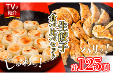 えひめの美味しい厳選餃子 あさの生餃子 もち〇生餃子 セット【5パック 計125個】 冷凍餃子 国産豚肉 生餃子 業務用餃子 簡易包装餃子 おつまみ 餃子 お子様 餃子 豚肉餃子 家族 餃子 国産野菜