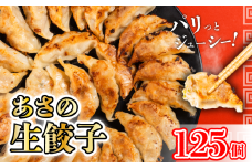 あさの生餃子 【25個入×5パック 計125個】 冷凍餃子 国産豚肉 生餃子 業務用餃子 簡易包装餃子 おつまみ 餃子 お子様 餃子 豚肉餃子 家族 餃子 国産野菜 愛媛県 松山市