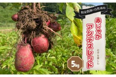 【先行予約6月中旬から順次発送】【自然栽培】 じゃがいも詰め合わせ アンデスレッド 5kg | じゃがいも コロッケ ポテトサラダ  肉じゃが カレーライス おかず 野菜 セット 詰め合わせ 愛媛県 松山市