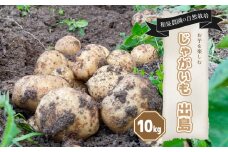 【先行予約6月中旬から順次発送】【自然栽培】じゃがいも詰め合わせ 出島 10kg | じゃがいも コロッケ ポテトサラダ  肉じゃが カレーライス おかず 野菜 セット 詰め合わせ 愛媛県 松山市