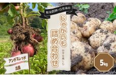 【先行予約6月中旬から順次発送】【自然栽培】 じゃがいも詰め合わせ 出島/アンデスレッド 5kg | じゃがいも コロッケ ポテトサラダ  肉じゃが カレーライス おかず 野菜 セット 詰め合わせ 愛媛県 松山市