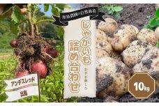 【先行予約6月中旬から順次発送】【自然栽培】 じゃがいも詰め合わせ 出島/アンデスレッド 10kg | じゃがいも コロッケ ポテトサラダ  肉じゃが カレーライス おかず 野菜 セット 詰め合わせ 愛媛県 松山市
