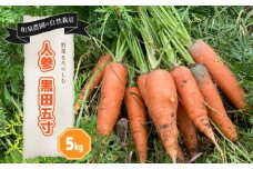 【自然栽培】 人参 黒田五寸 5kg | 愛媛産にんじん 野菜 旬 自然 季節限定 時期限定 数量限定 和泉農園 愛媛県 松山市