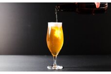 GUILDビール（SMaSHタイプ）2本 ｜  ビール 瓶ビール  ご当地ビール 地ビール お酒 BBQ 宅飲み 晩酌 贈り物 お中元 お歳暮 贈答品  父の日 ギフト 手土産 おもたせ  愛媛県 松山市