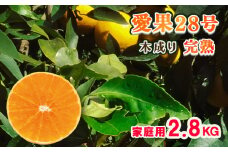 【1月発送予定】 甘さ抜群！ 愛果28号 2.8kg 訳あり 家庭用 M から 3Lサイズミックス（みかん 産地直送 ｜あいか 愛果 みかん 蜜柑 旬 わけあり 訳あり 甘い 柑橘 果物 フルーツ 紅まどんな 紅マドンナ と同品種 糖度 高級 愛媛 松山） 中島育ち 愛媛 松本農園