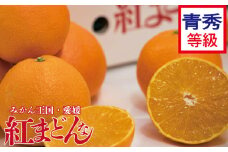  【先行予約】【2025年11月下旬以降順次発送】数量限定 紅まどんな 青秀 等級 化粧箱 L玉～5L玉 高級 紅まどんな 柑橘 フルーツ 個包装 紅マドンナ 果物 おすすめ柑橘紅まどんな 高級柑橘の紅まどんな くだもの 人気 おすすめ 贈答 ギフト 紅まどんな 愛媛県 松山市 送料無料 えひめのフルーツ紅まどんな マドンナ まどんな