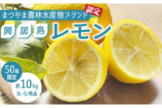  【4月上旬より発送】興居島レモン 10kg | 国産 愛媛 れもん レモン lemon 青果 フルーツ 果物 くだもの 期間限定 数量限定 人気 おすすめ 愛媛県 松山市 ブランド 興居島 送料無料 