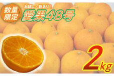 訳あり 愛果48号 2kg 柑橘 果物 くだもの フルーツ みかん ミカン mikan mican 不揃い 傷 ワケアリ 訳アリ 愛媛県 松山市