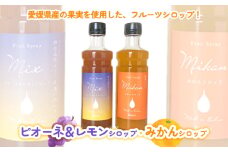 愛媛県産フルーツシロップ２本セット＜みかん・ピオーネ＆レモン＞（簡易箱入り）｜シロップ 果実シロップ みかん ぶどう 愛媛 シロップセット