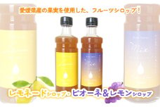 愛媛県産フルーツシロップ２本セット＜レモネード・ピオーネ＆レモン＞（簡易箱入り）｜シロップ　果実シロップ　愛媛　シロップセット　レモネード　ぶどう