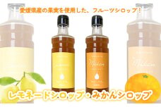 愛媛県産フルーツシロップ２本セット＜レモネード・みかん＞（簡易箱入り）｜シロップ　果実シロップ　愛媛　シロップセット　レモネード　みかん